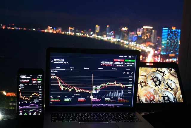 investor reviewing transparent portfolio performance report on laptop screen with charts and metrics